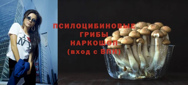 дмт Алексеевка