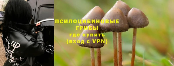 соль ск Алзамай