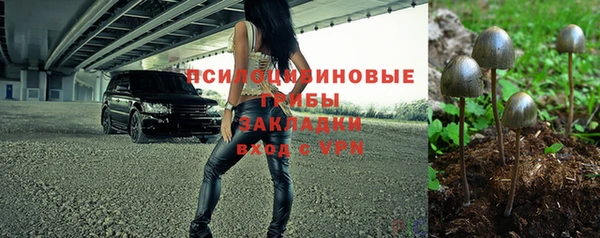 a pvp Алексин