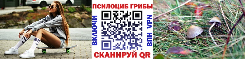 Псилоцибиновые грибы прущие грибы  где найти наркотики  Тайшет 
